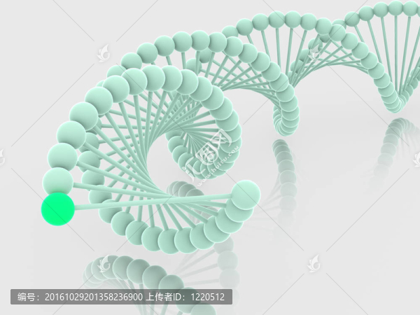 基因在DNA