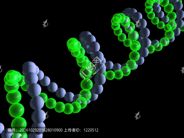 基因在DNA
