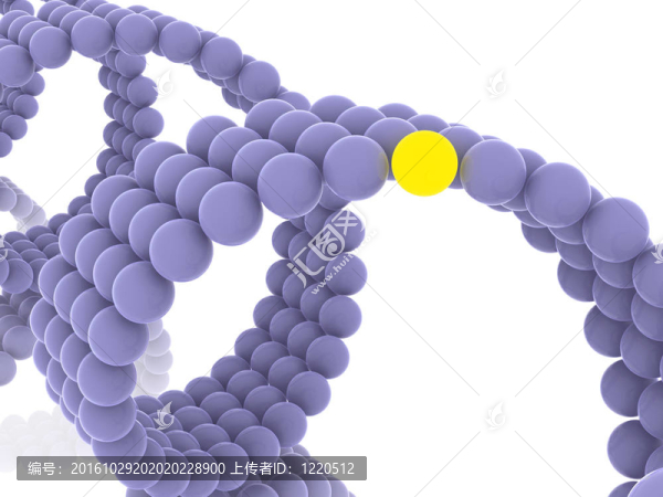 基因在DNA
