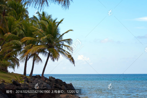 波多黎各盧基約海灘
