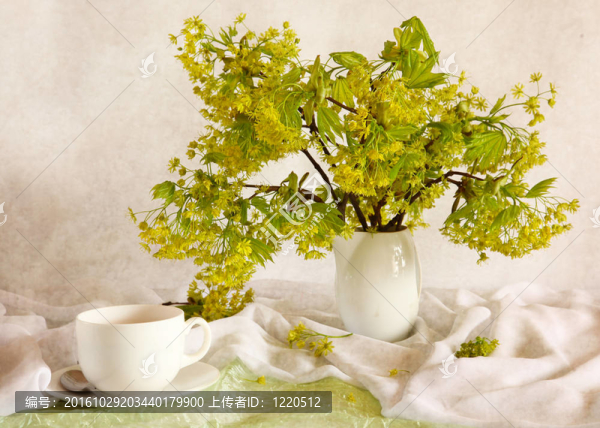 上午茶