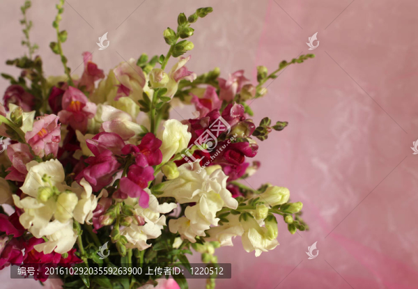 美麗的花束