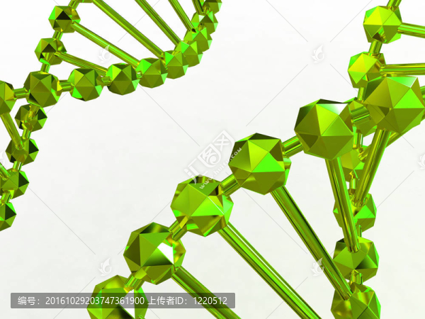 基因在DNA