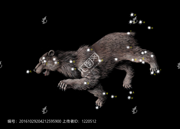 星座大熊