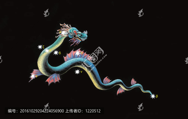 水蛇星座