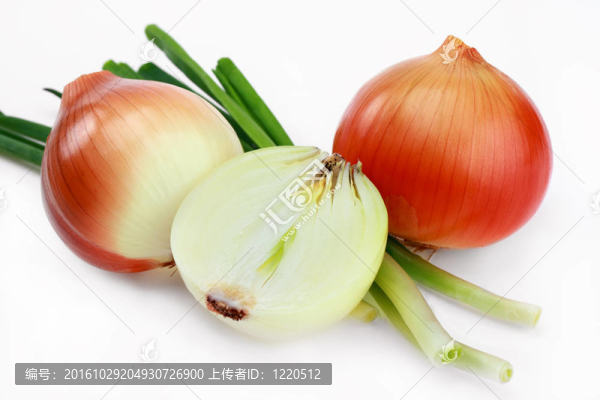 新的燈泡