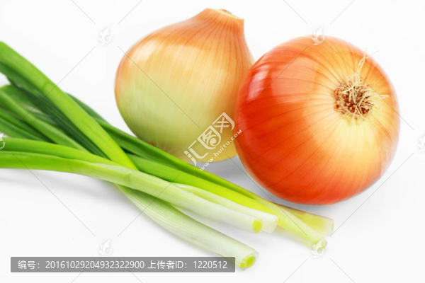 新的燈泡