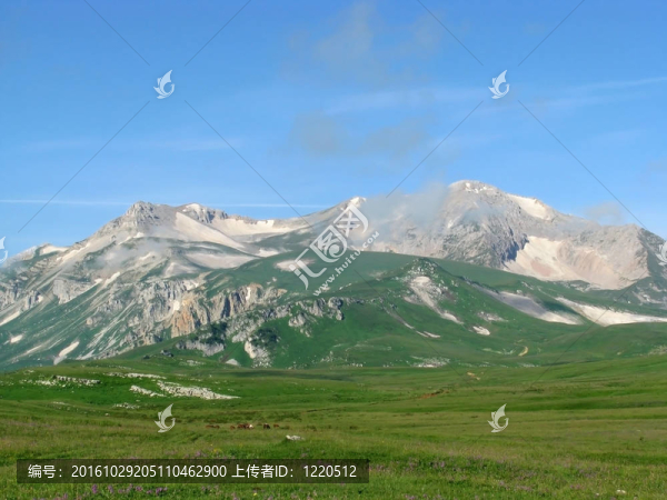 山