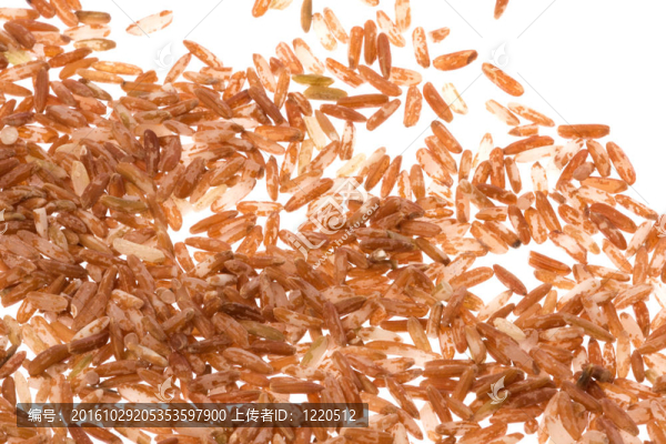 紅米分離
