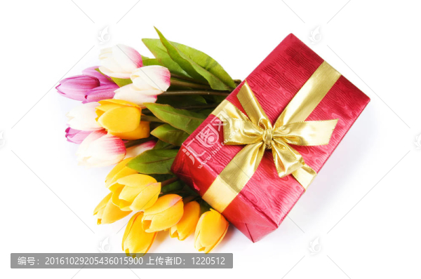 慶祝理念-禮品盒和郁金香花
