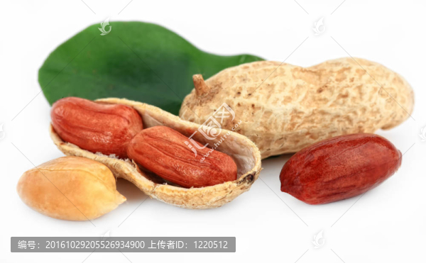 花生