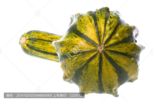 觀賞Gourd分離