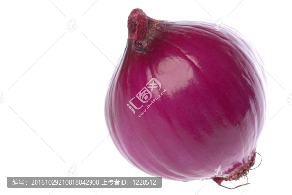 紅洋蔥分離
