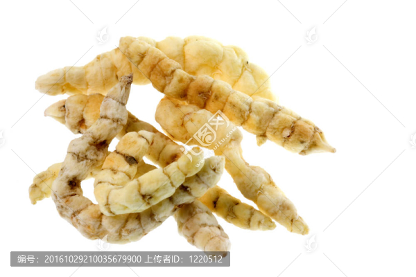 卡特彼勒真菌分離