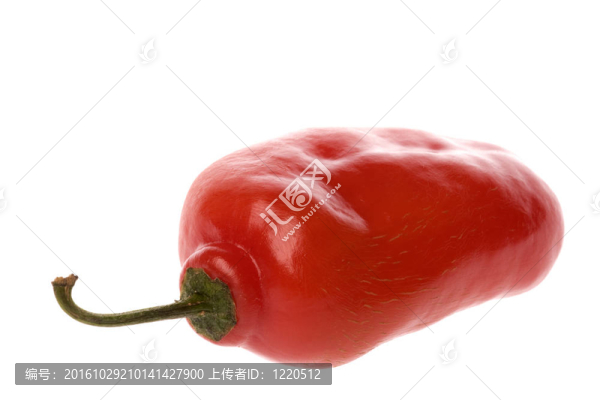 紅墨西哥辣椒宏
