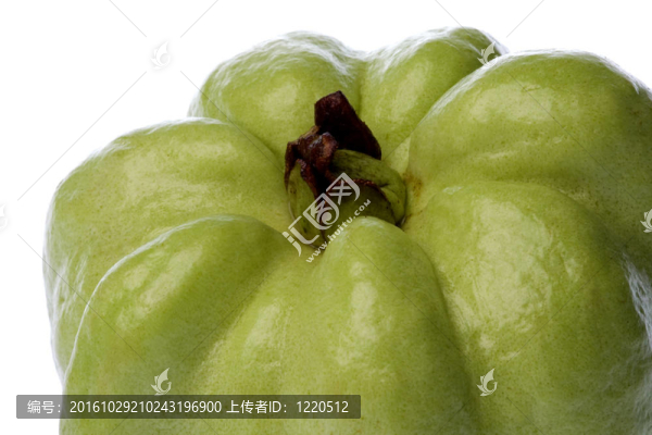 番石榴隔離