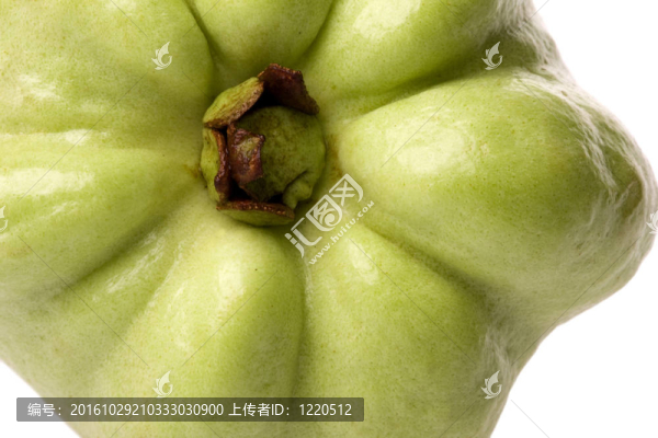 番石榴隔離