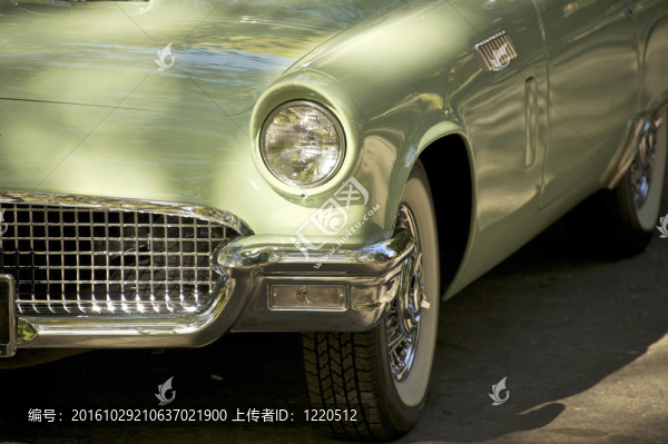 一個(gè)1957豪華跑車(chē)坐在樹(shù)蔭下的公園樹(shù)木