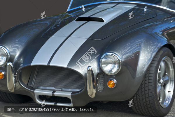 1965蛇副本2