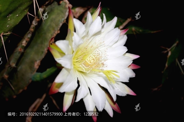 當(dāng)黑暗光明