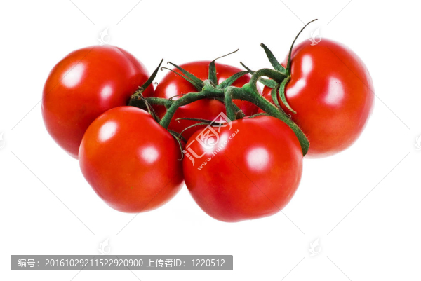 把西紅柿