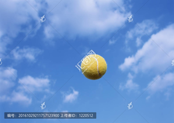 網(wǎng)球