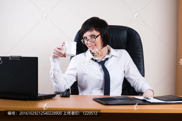 商業(yè)女人與筆記本電腦