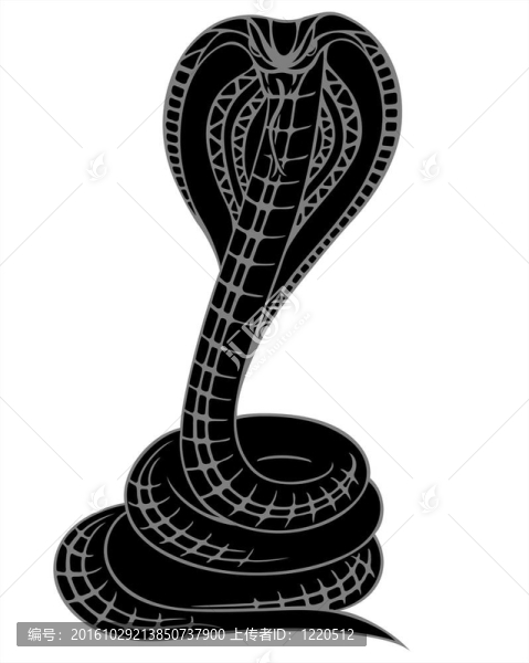 眼鏡蛇