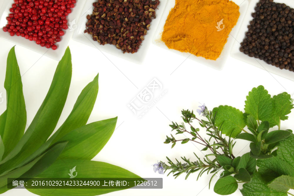 藥草和香料