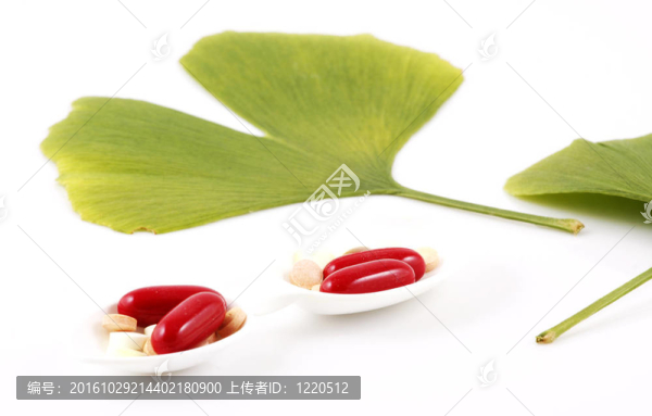 銀杏葉