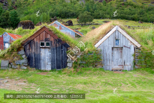 草屋頂