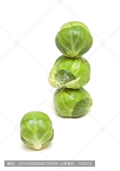 豆芽摘要