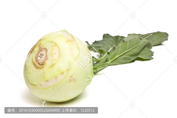 德國的蘿卜