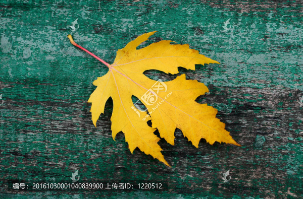 木質(zhì)表面上的葉子