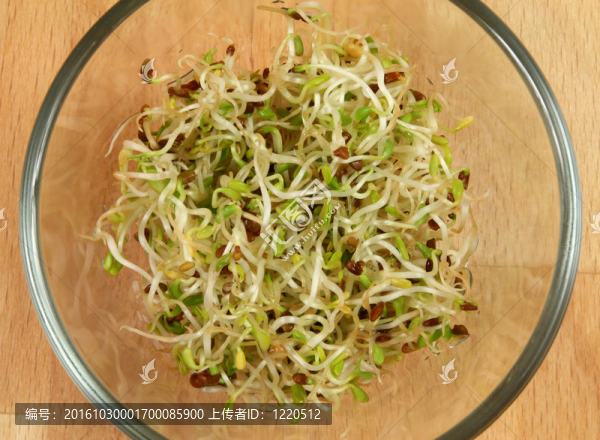 吃豆芽
