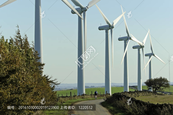 約克郡風電場