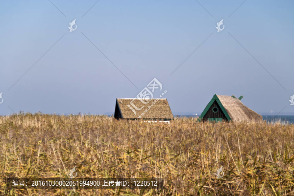 海岸地區(qū)