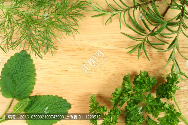 綠色草本植物