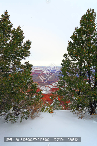 大峽谷森林的暴風雪；AZ