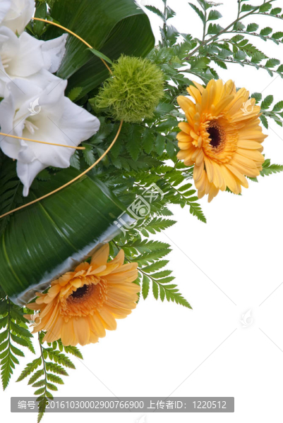 花的細節(jié)