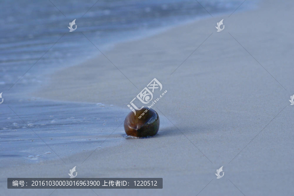 椰子
