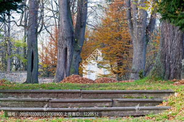 公園在秋季