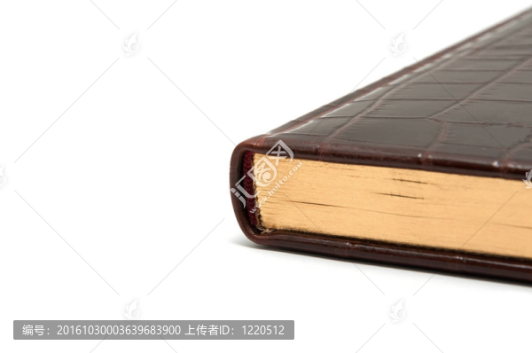皮革日記的邊緣