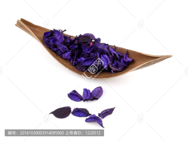 紫花香白色背景