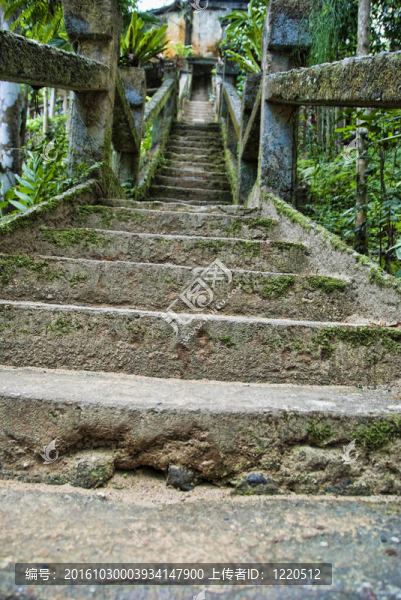 帕羅尼拉公園；昆士蘭