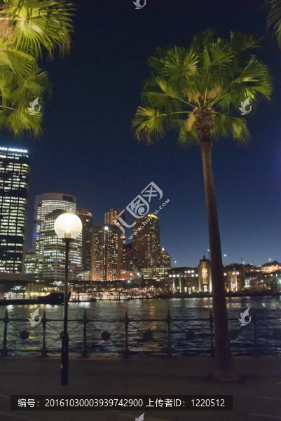 晚間接近悉尼港