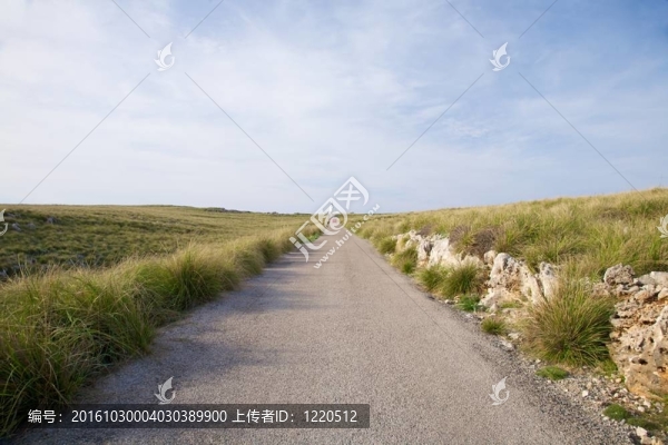 到燈塔去的路