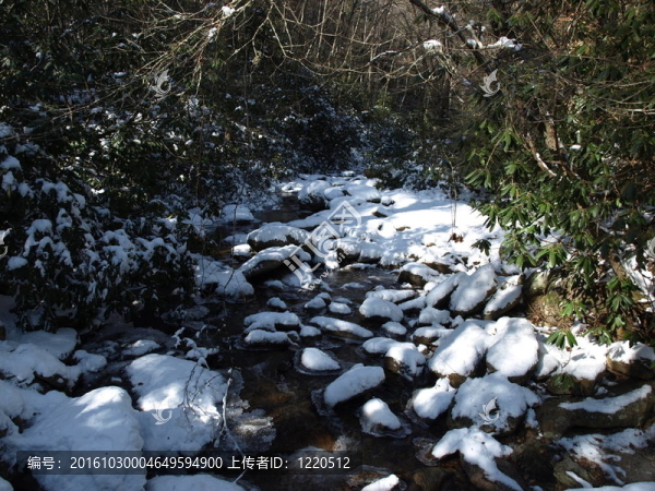 creekbed