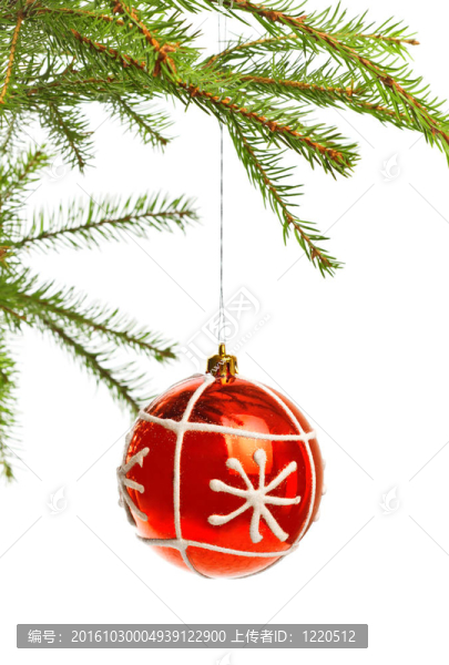 云杉樹枝上的紅色裝飾球