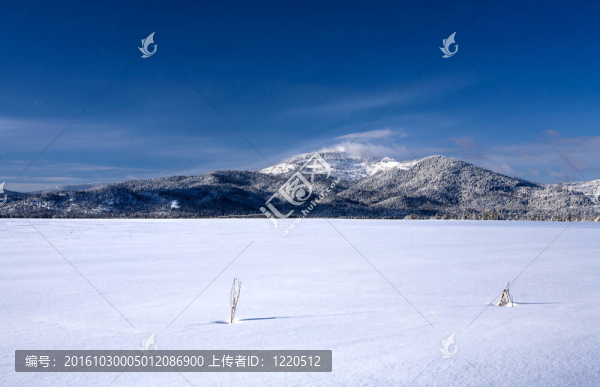 白雪覆蓋的田野和一座山。